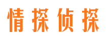 醴陵找人公司